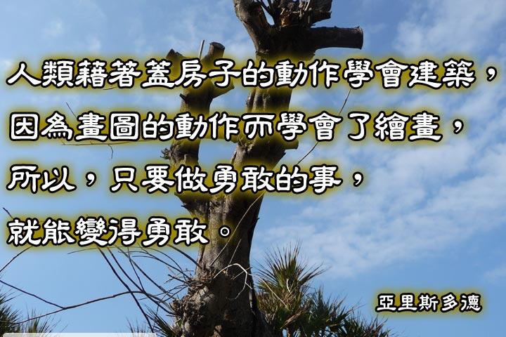 人類藉著蓋房子的動作學會建築，
因為畫圖的動作而學會了繪畫，
所以，只要做勇敢的事，就能變得勇敢。--亞里斯多德