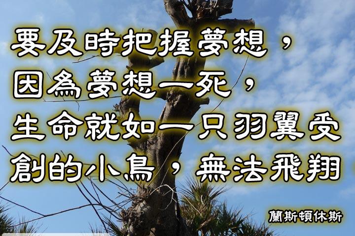 要及時把握夢想，
因為夢想一死，
生命就如一只羽翼受創的小鳥，
無法飛翔。--蘭斯頓休斯