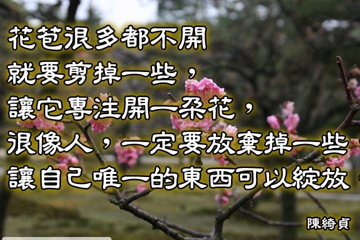 花苞很多都不開就要剪掉一些，
讓它專注開一朵花，
很像人，一定要放棄掉一些，
讓自己唯一的東西可以綻放。--陳綺貞