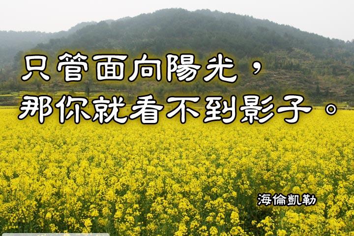 只管面向陽光，那你就看不到影子。--海倫凱勒