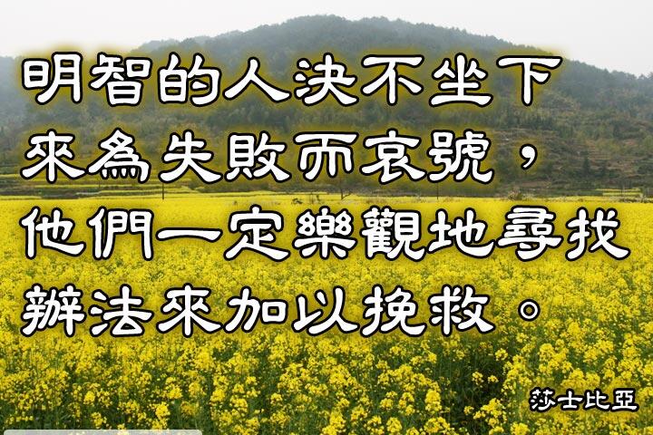 明智的人決不坐下來為失敗而哀號，
他們一定樂觀地尋找辦法來加以挽救。--莎士比亞