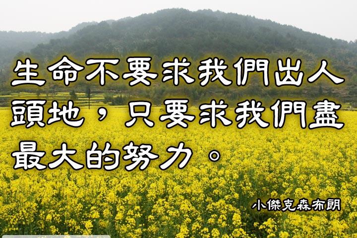 生命不要求我們出人頭地，只要求我們盡最大的努力。--小傑克森布朗