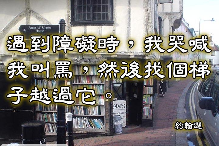 遇到障礙時，我哭喊我叫罵，然後找個梯子越過它。--約翰遜