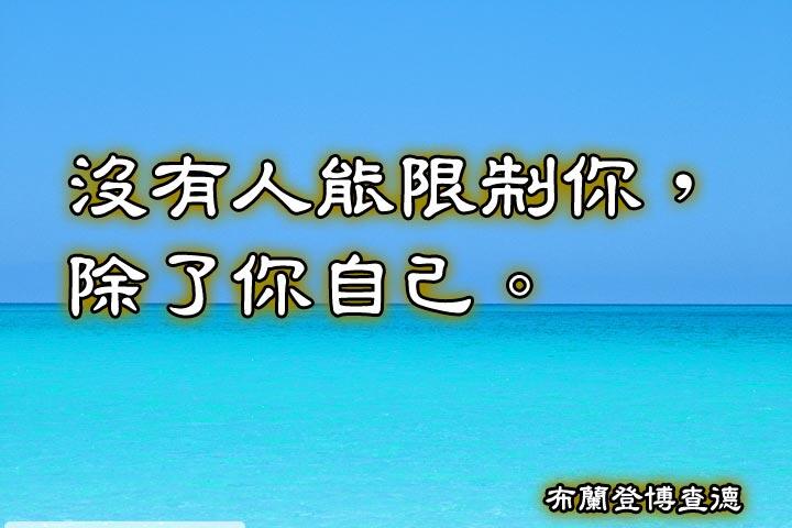 沒有人能限制你，除了你自己。--布蘭登博查德