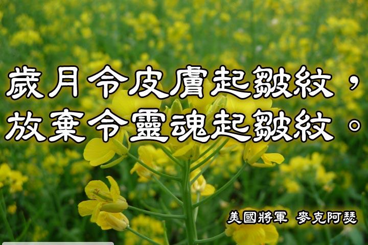 歲月令皮膚起皺紋，放棄令靈魂起皺紋。--麥克阿瑟