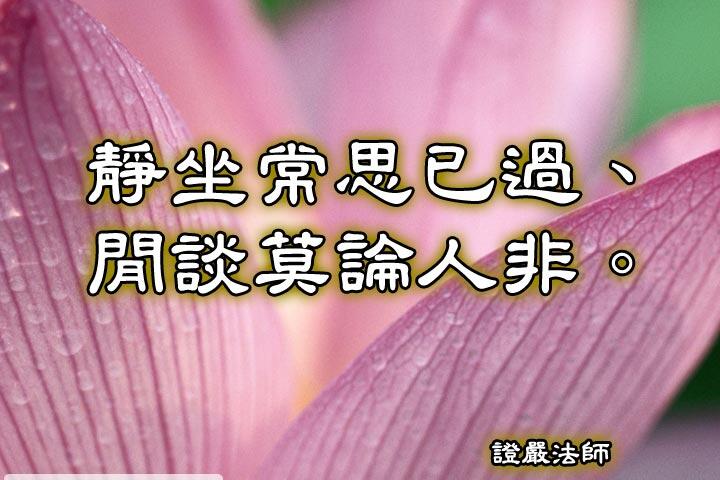 靜坐常思己過、閒談莫論人非。--證嚴法師